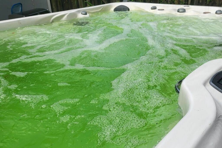 Why Is My Spa Water Green? Causes & Solutions