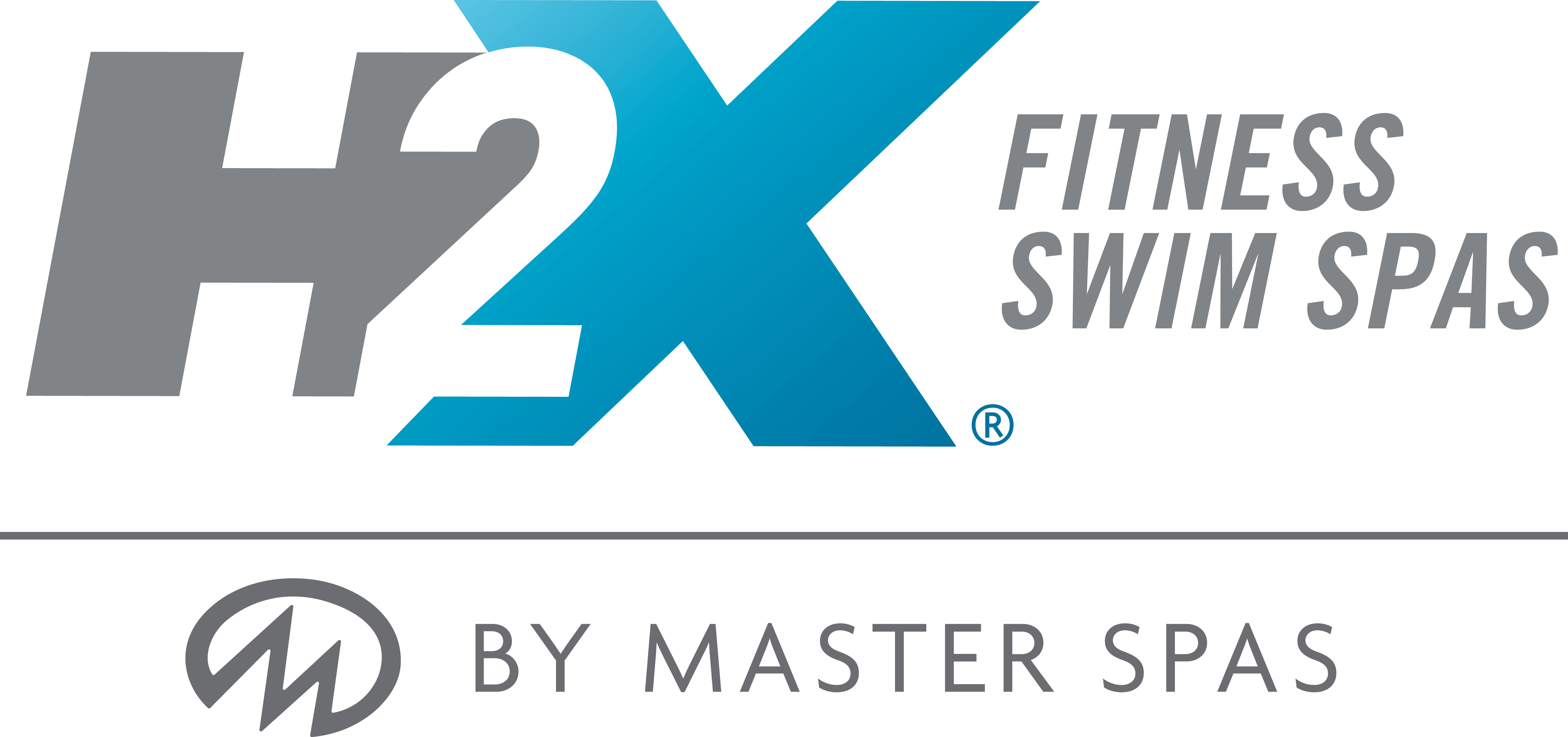H2X Swim Spa Filters