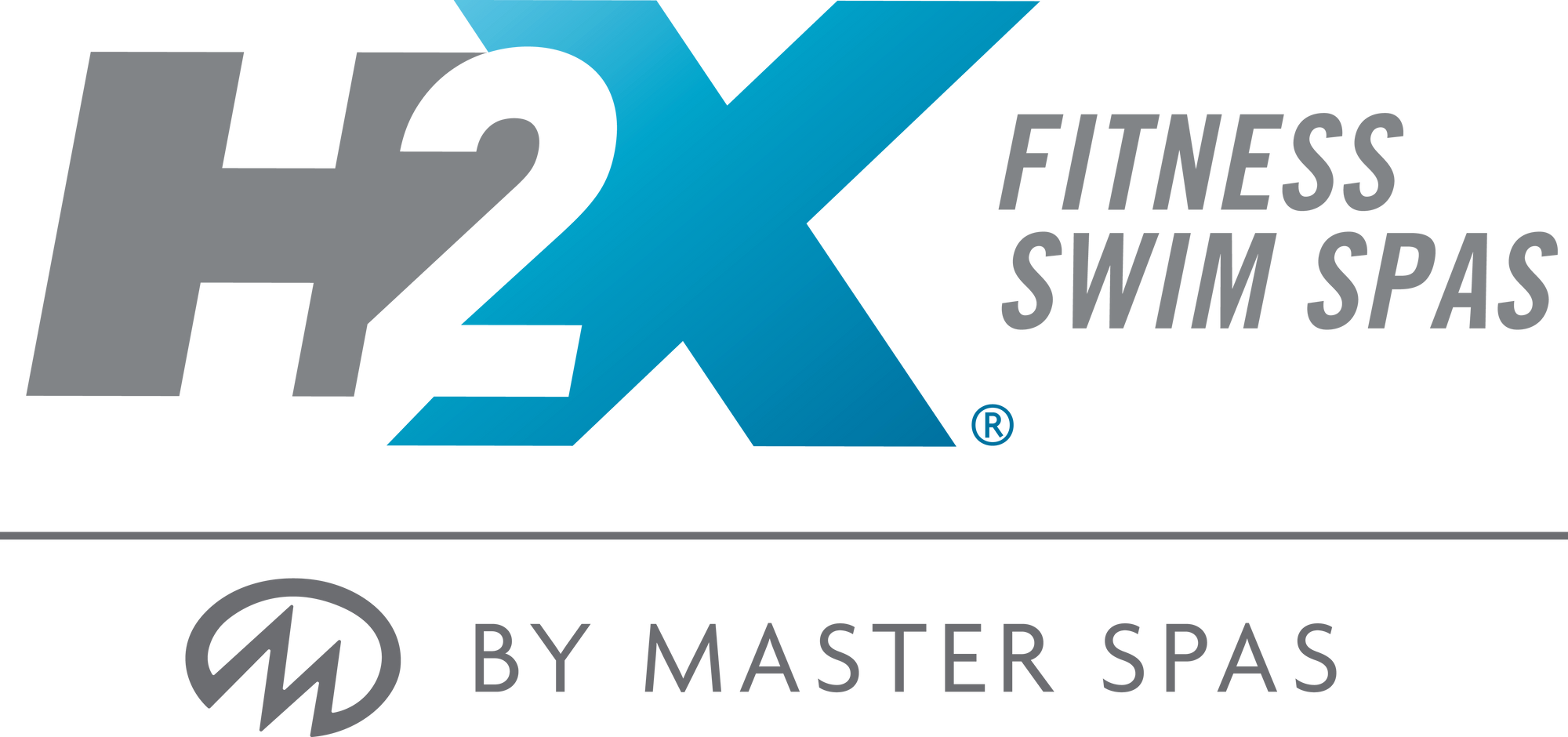 H2X Swim Spa Filters