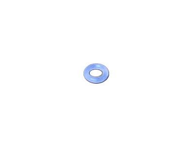 Master Spa - X333212 - Spa Lighting - O-Ring for LED Jets Compression Nut